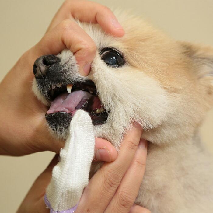 歯垢トルトル フィンガー歯ブラシスリム 2個入り |  | 04