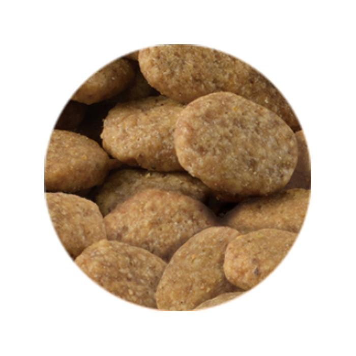 セレクトバランス グレインフリー 猫スリム チキン 1.6kg【着後レビューで500円クーポンGET！】 | SELECT BALANCE | 03