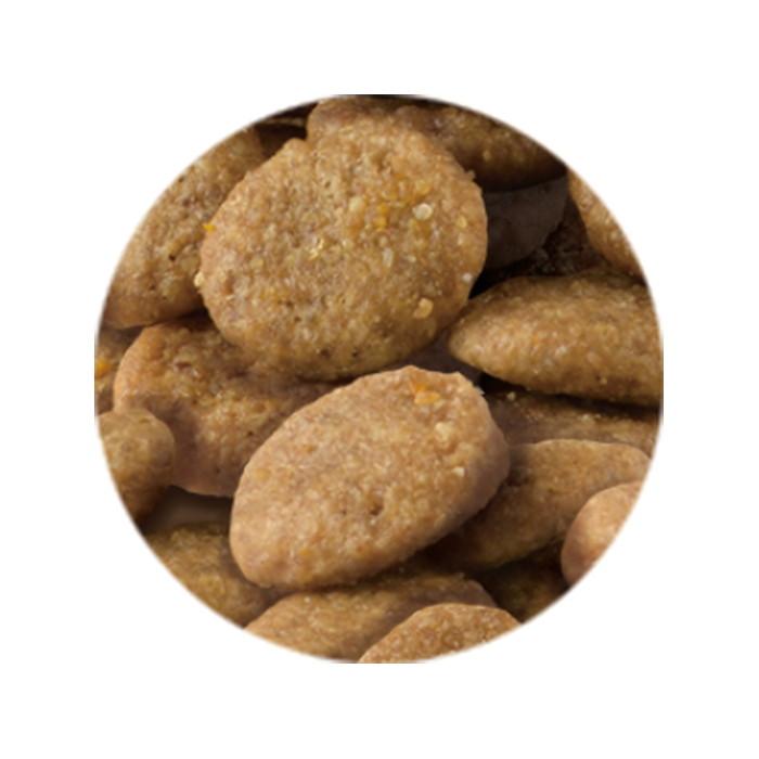 セレクトバランス グレインフリー 猫エイジングケア チキン 400g | SELECT BALANCE | 03