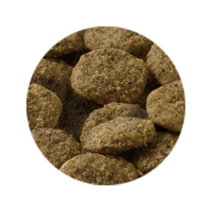 セレクトバランス グリーンレシピ ヴィーガン 小粒 アダルト 1才以上の成犬用 2.4kg【着後レビューで500円クーポンGET！】 |  | 03