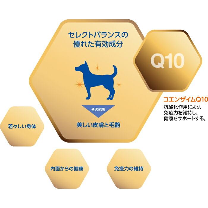 セレクトバランス グリーンレシピ ヴィーガン 小粒 アダルト 1才以上の成犬用 2.4kg【着後レビューで500円クーポンGET！】 |  | 07