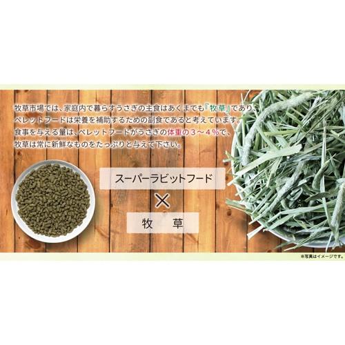 牧草市場 スーパーラビットフード メンテナンス 1.2kg | 牧草市場 | 04