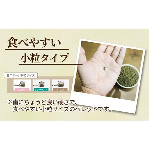 牧草市場 スーパーラビットフード メンテナンス 1.2kg | 牧草市場 | 07