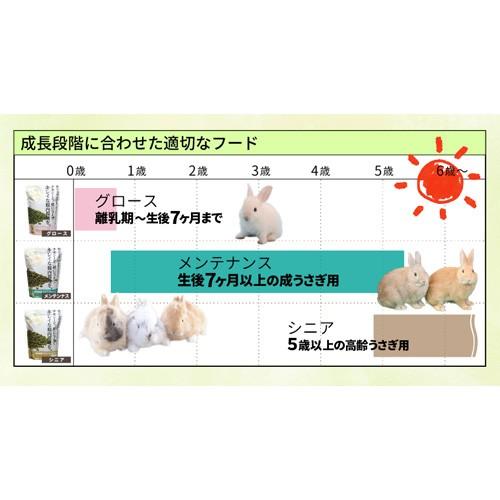 牧草市場 スーパーラビットフード メンテナンス 1.2kg | 牧草市場 | 08