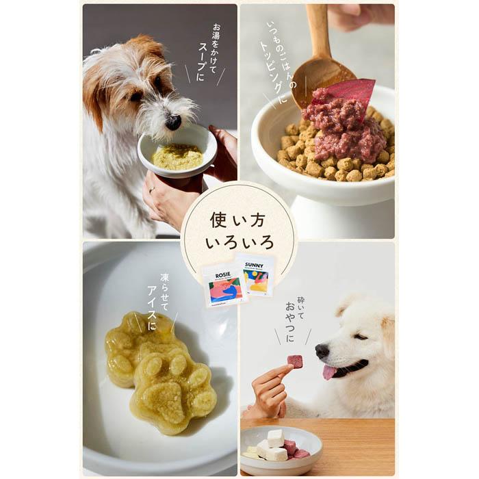 WanSoup-SUNNY チキンレシピ 26g（ミニパック） |  | 12