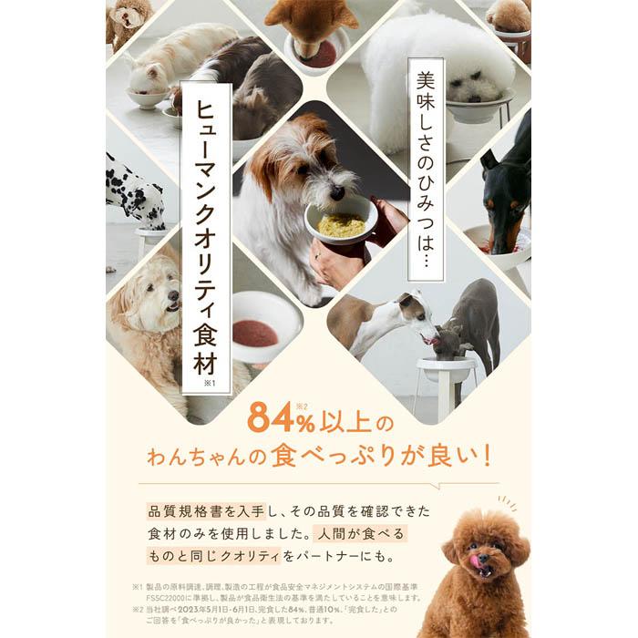 WanSoup-SUNNY チキンレシピ 26g（ミニパック） |  | 09