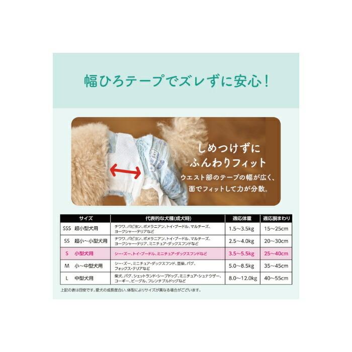 キミおもい リラックスウェア SSS 42枚 |  | 02