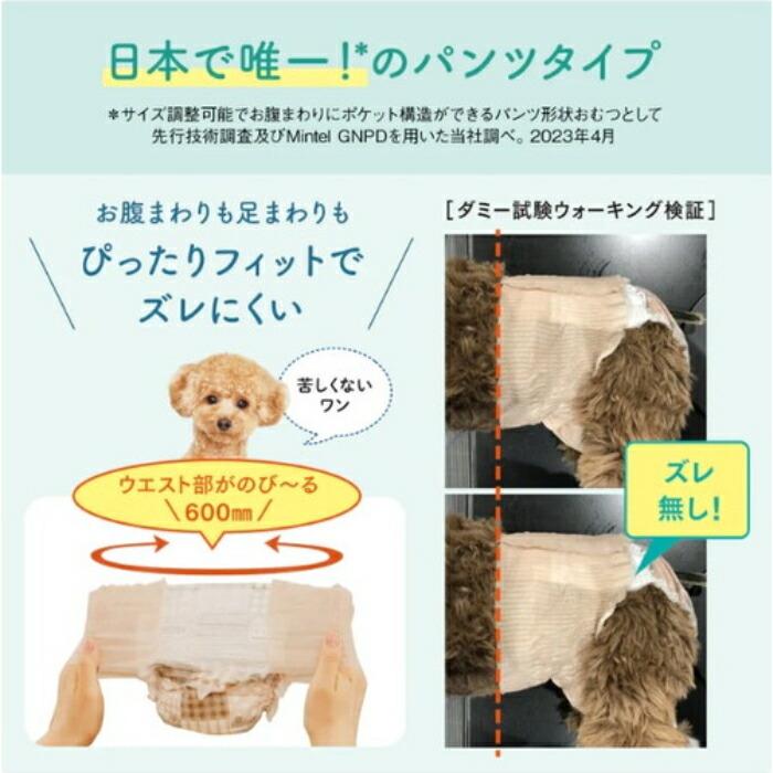 キミおもい アクティブウェア SSS‐S 30枚 |  | 02