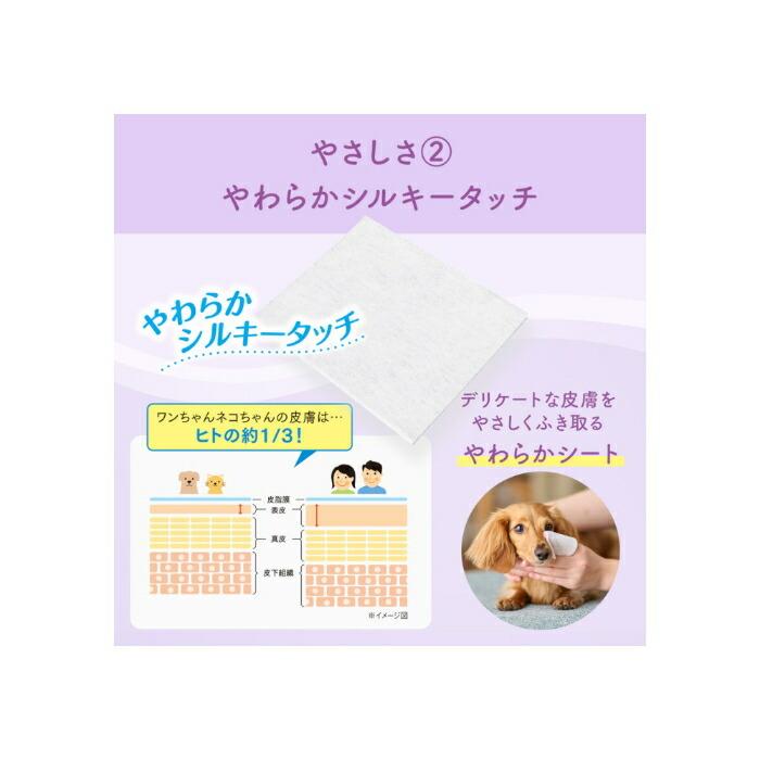 キミおもい 肌にやさしい ウエットティシュー 純水 99％ 70枚×3P |  | 04