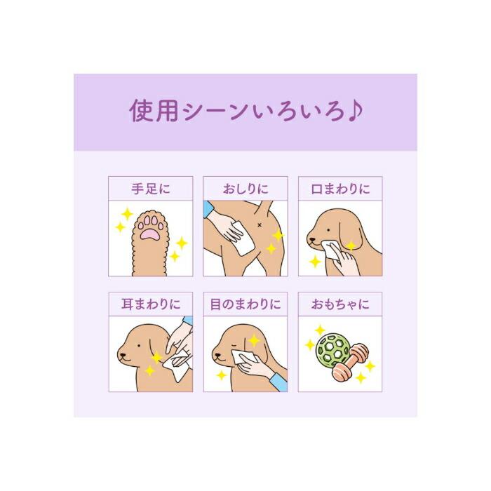 キミおもい 肌にやさしい ウエットティシュー 純水 99％ 70枚×3P |  | 06