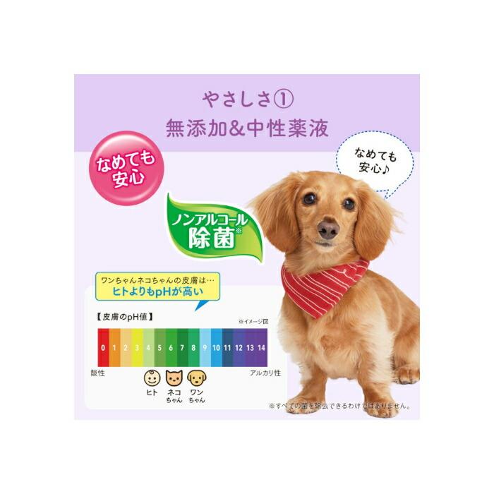 キミおもい 肌にやさしい ウエットティシュー ノンアルコール除菌 60枚×3P |  | 03