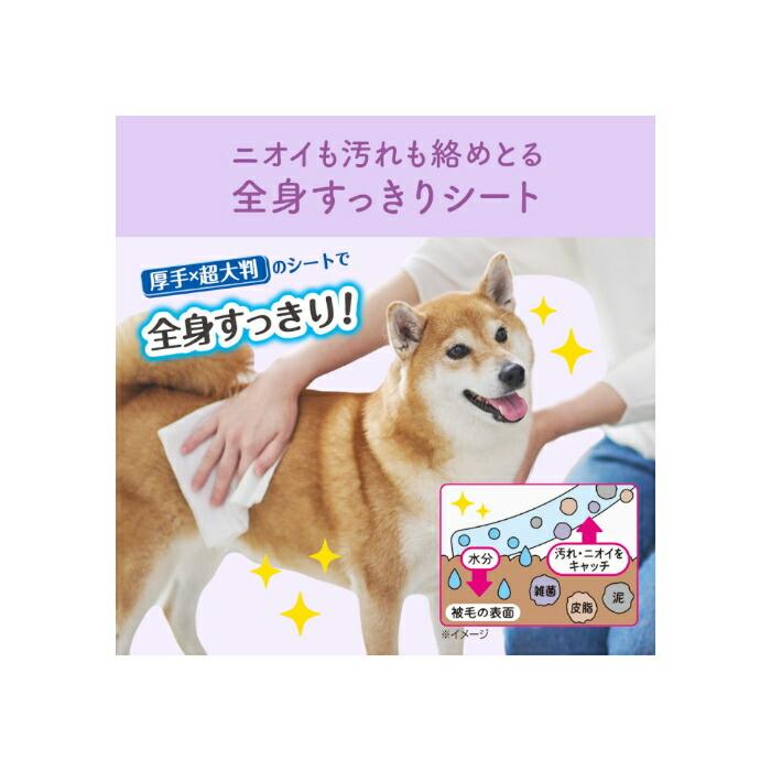 キミおもい 全身すっきりシート 中型犬用 20枚 |  | 02