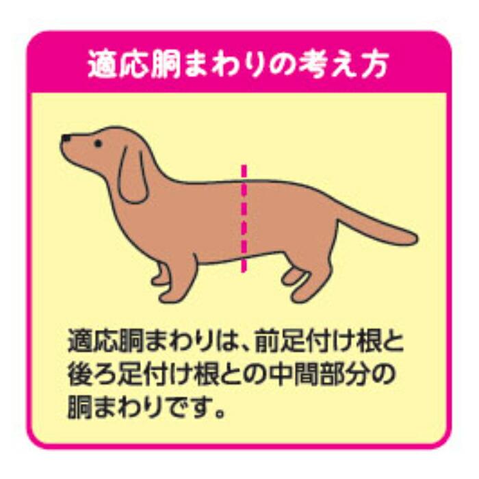 キミおもい のびのび動ける アクティブウェア L ゆったり お試し 4枚 | キミおもい | 01