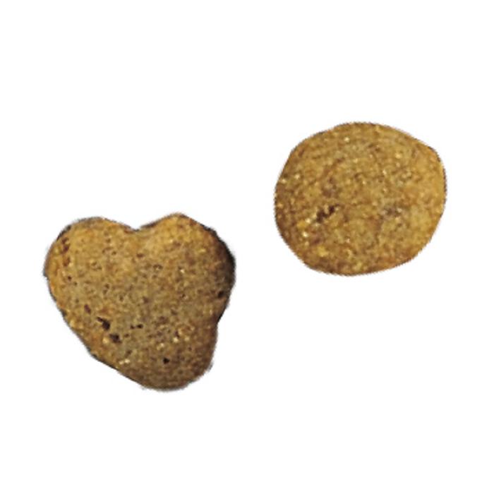 ピュリナワン キャット 健康マルチケア 11歳以上 チキン 2kg |  | 01