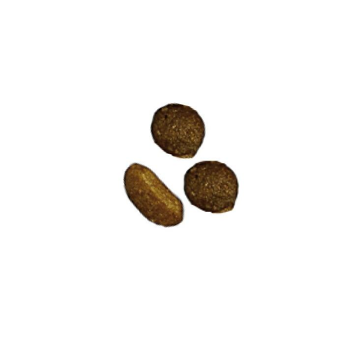 ピュリナワンキャット 1歳までの子ねこ用／妊娠・授乳期の母猫用 サーモン＆ツナ 2kg |  | 01