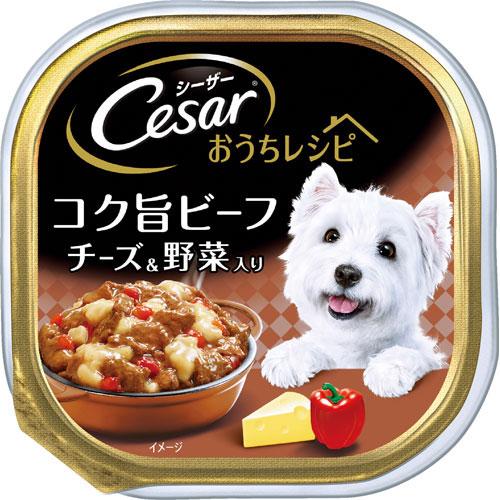 シーザー おうちレシピビーフ100g CEH6 | 