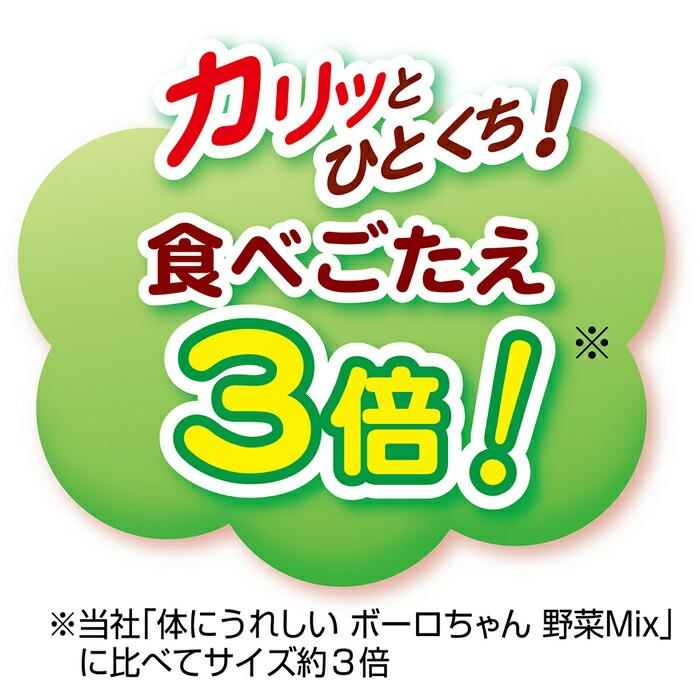 ペティオ 体にうれしい ボーロちゃん 大粒 100g |  | 06