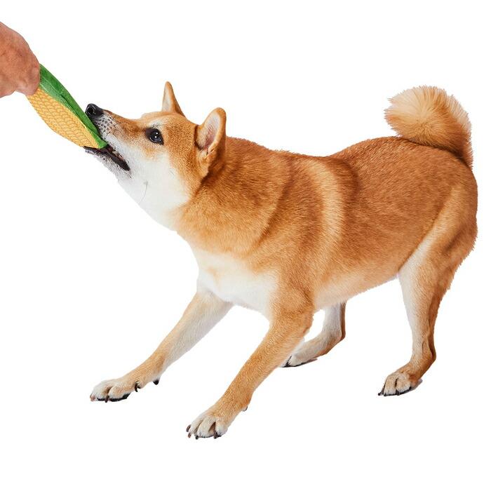 犬用おもちゃ 洗える！ 歯みがきCORN |  | 05