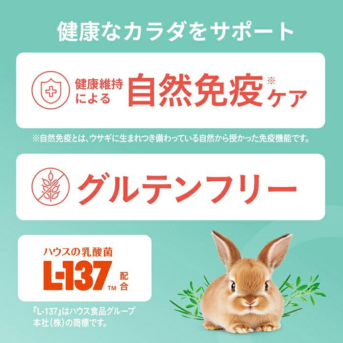 ラビジョン ラビットフード オールステージ 600g : マペット - 通販