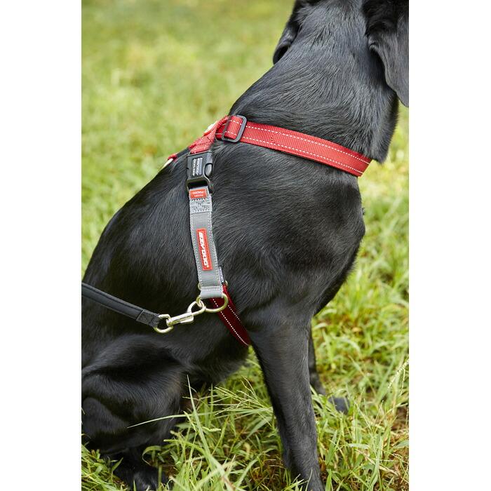 EZYDOG（イージードッグ） クロスチェックハーネス ブラック 超小型犬
