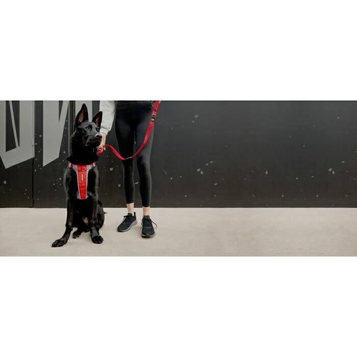 EZYDOG （イージードッグ） エックスリンク ハーネス ブラック 大型犬