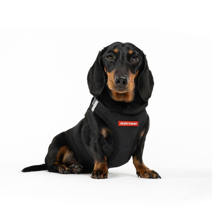 EZYDOG（イージードッグ）メッシュ フィット ハーネス 超小型犬 XXS