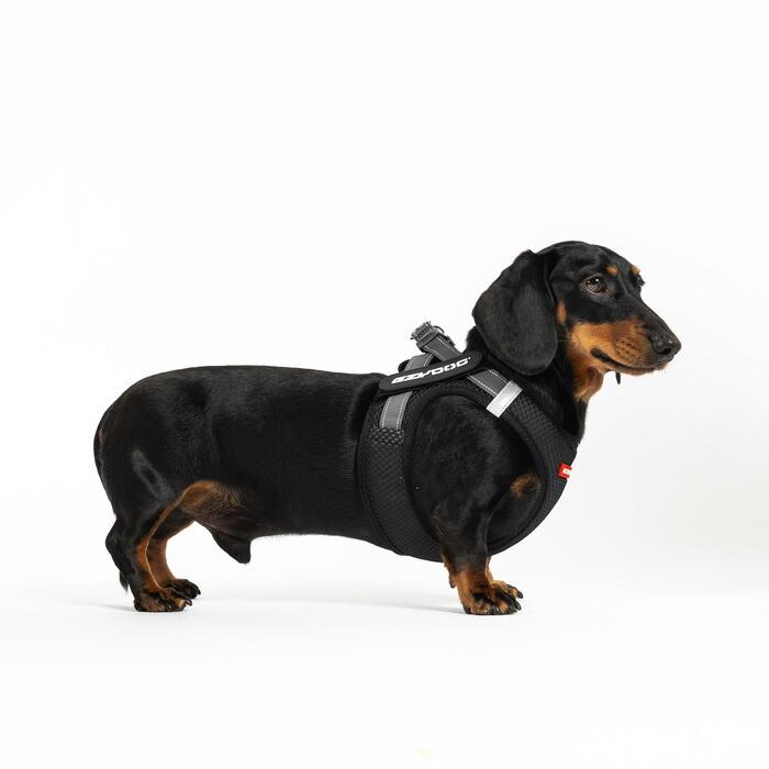 EZYDOG（イージードッグ）メッシュ フィット ハーネス 超小型犬 XXS