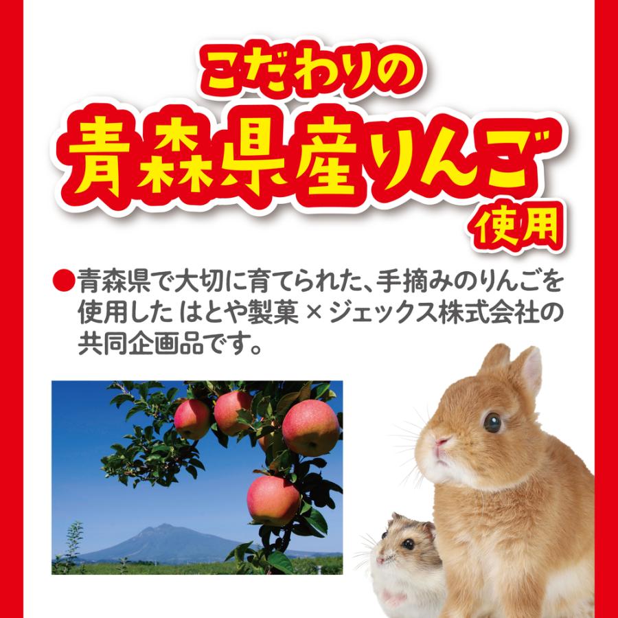 GEX パリパリりんご 10g ジェックス 小動物用 おやつ うさぎ