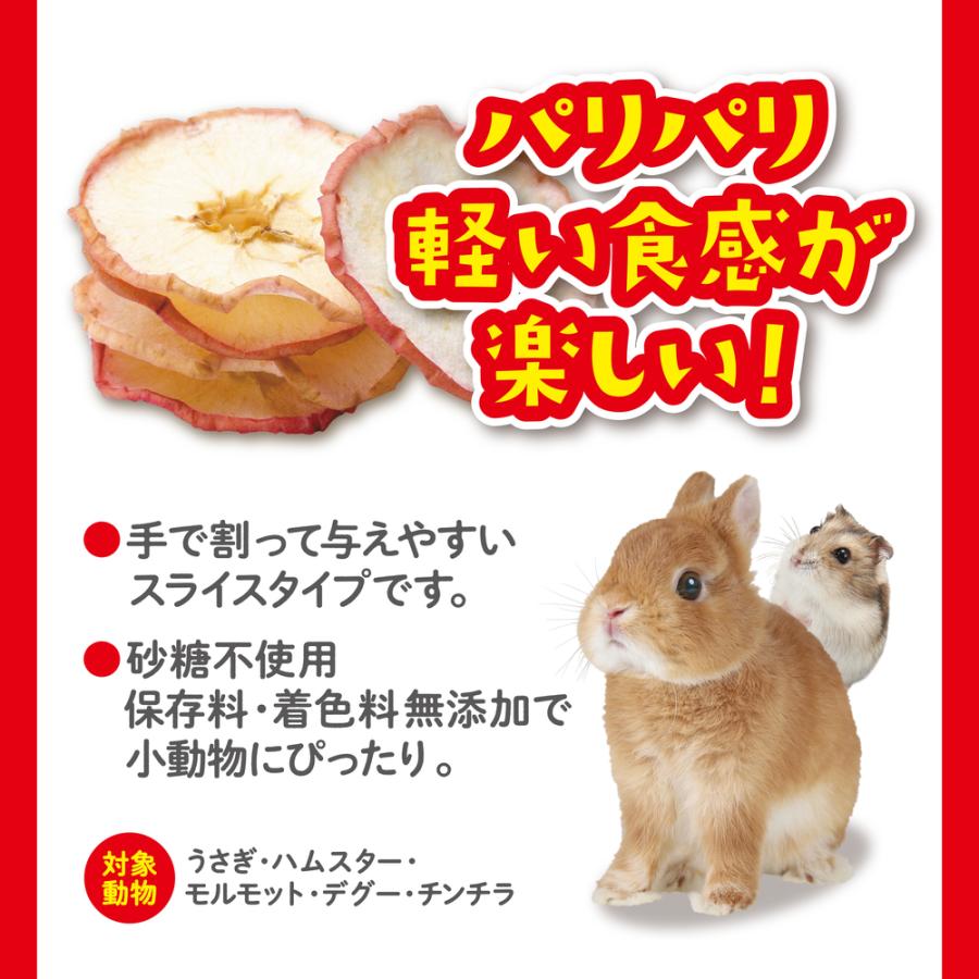 GEX パリパリりんご 10g ジェックス 小動物用 おやつ うさぎ