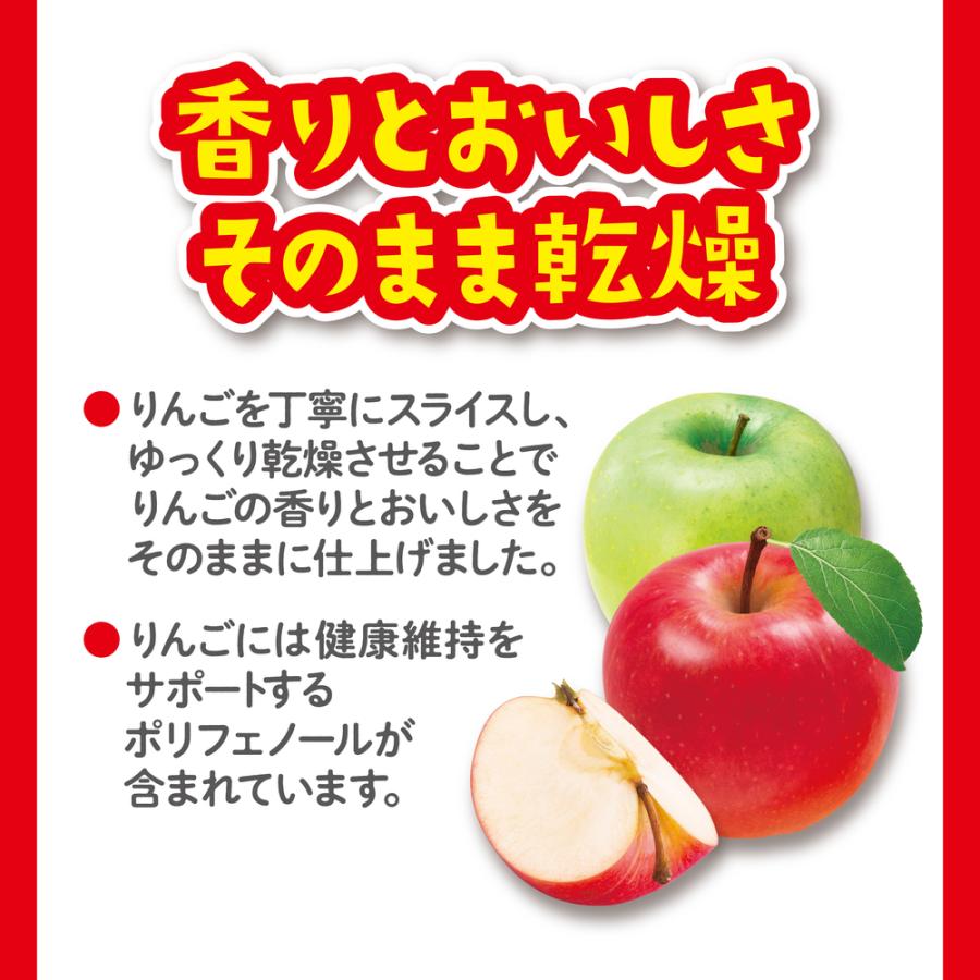 GEX パリパリりんご 10g ジェックス 小動物用 おやつ うさぎ