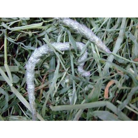 APD（アメリカンペットダイナー） チモシーハイファイバー680g（アメリカンペットダイナー1番刈りティモシー） 【F2】 | American Pet | 01