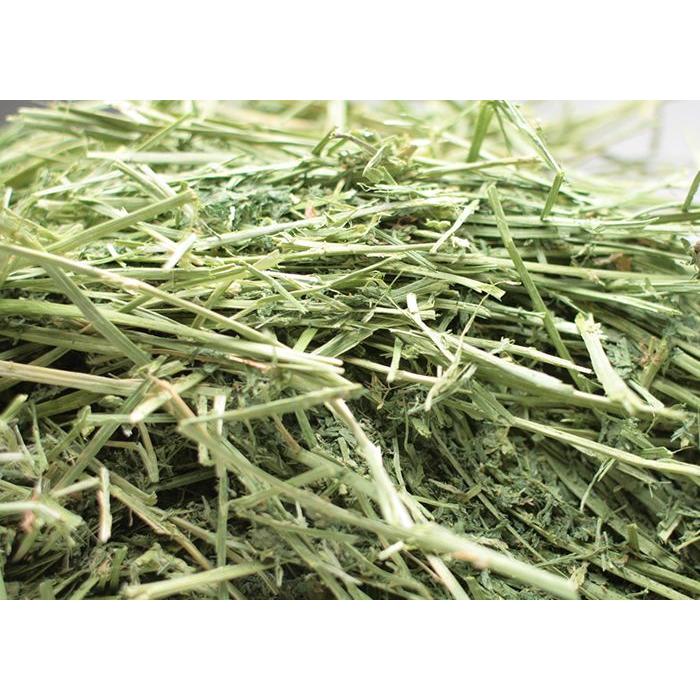 牧草市場　アルファルファプレミアム（牧草）★お試しサイズ100g（うさぎ・モルモットなどの牧草） |  | 01