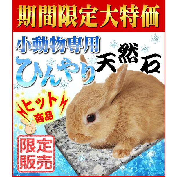 小動物専用 ひんやり天然石プレート うさぎ モルモット マペットオリジナル Bytel Com Mx