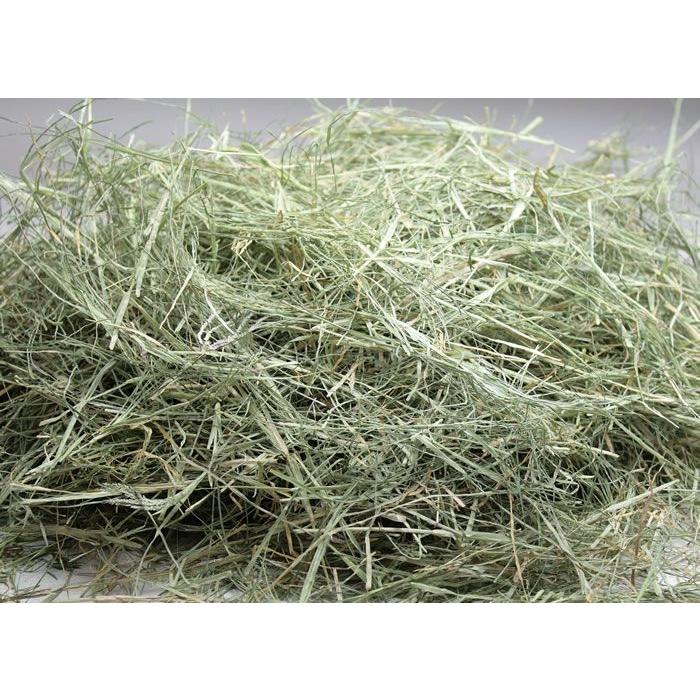 牧草市場　バミューダヘイ《牧草》★お試しサイズ100g（うさぎ・モルモットなどの敷き牧草） |  | 01