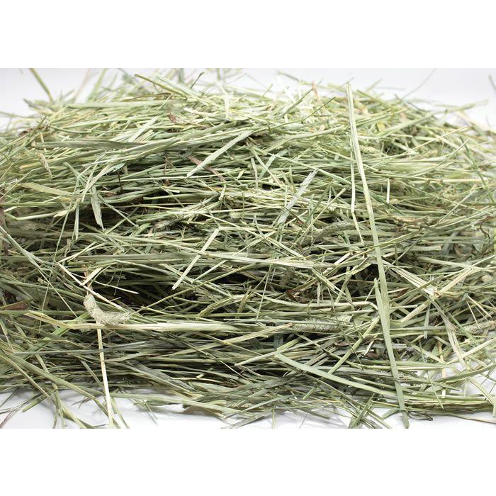 牧草市場　カナダ産プレミアムチモシー1番刈り牧草★お試しサイズ100g（うさぎ・モルモットなどの牧草） |  | 01