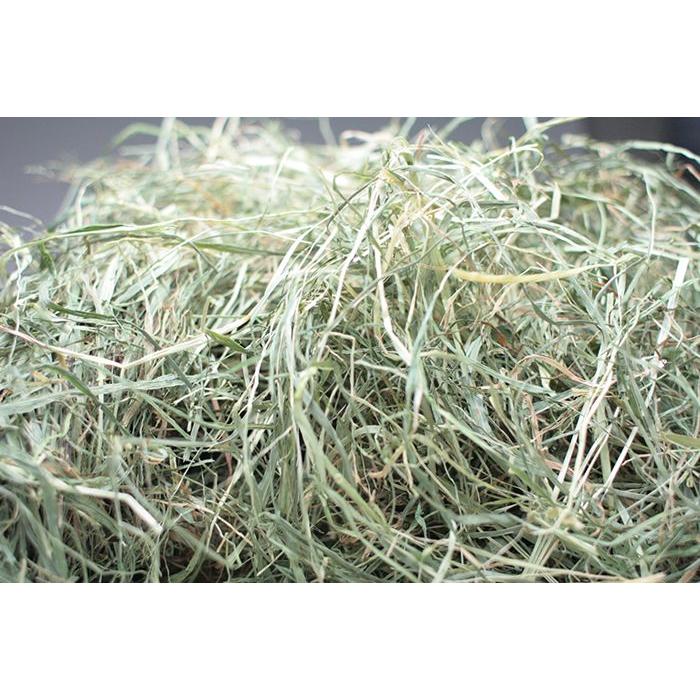 牧草市場 北海道産チモシー2番刈り牧草500g（うさぎ・モルモット