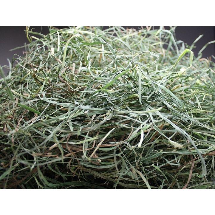 【令和6年度産新刈り】牧草市場USチモシー3番刈り牧草スーパーソフト★お試しサイズ100g（うさぎ・モルモットなどの牧草） |  | 01