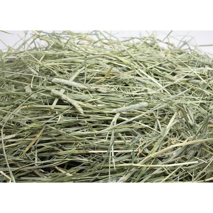 牧草市場USチモシー1番刈り牧草ダブルプレス500g（プレミアム）（うさぎ・モルモットなどの牧草） |  | 01