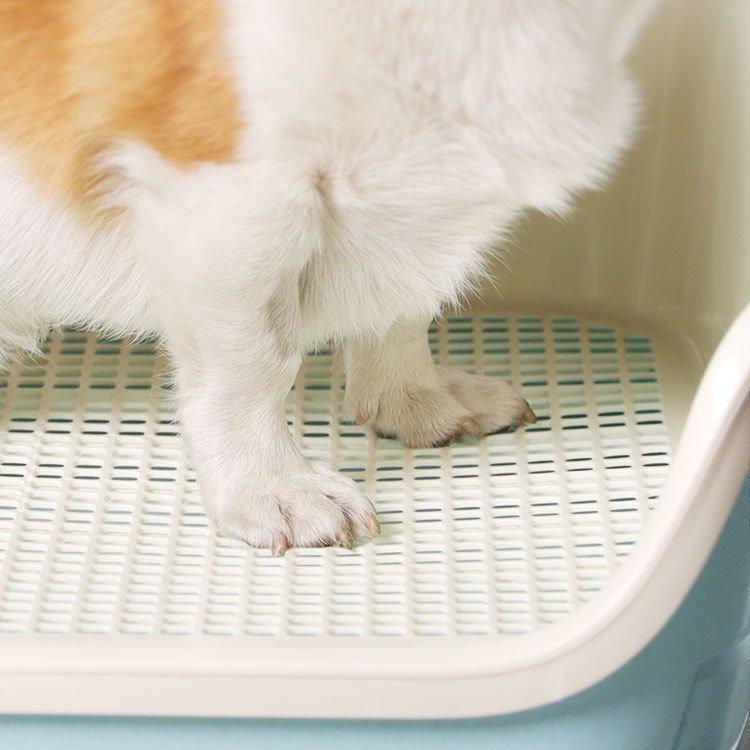 気質アップ トイレ用品 ペットシーツ おむつ 犬用トイレトレーペットトイレ飛散ガード壁付きいたずら防止 犬用トイレトレー ペットトイレ 飛散ガード 壁付き いたずら防止 小型犬 中型犬 犬 トイレ おしゃれ ペット スノコ付き しつけ トレーニング トイ Pappira Com