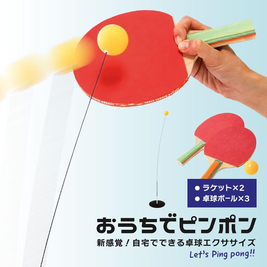 一人 卓球 練習 用 グッズ トレーニング 室内 自宅 部屋 練習球 卓球