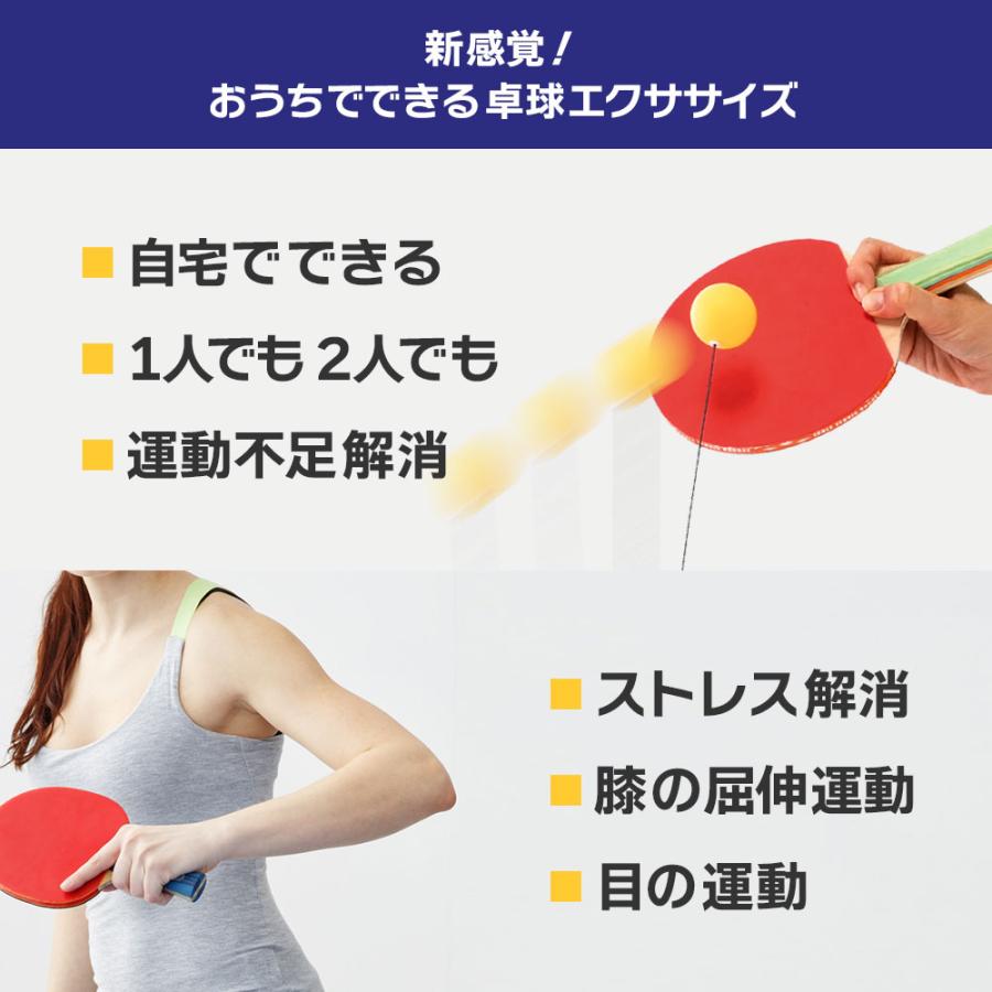 一人 卓球 練習 用 グッズ トレーニング 室内 自宅 部屋 練習球 卓球