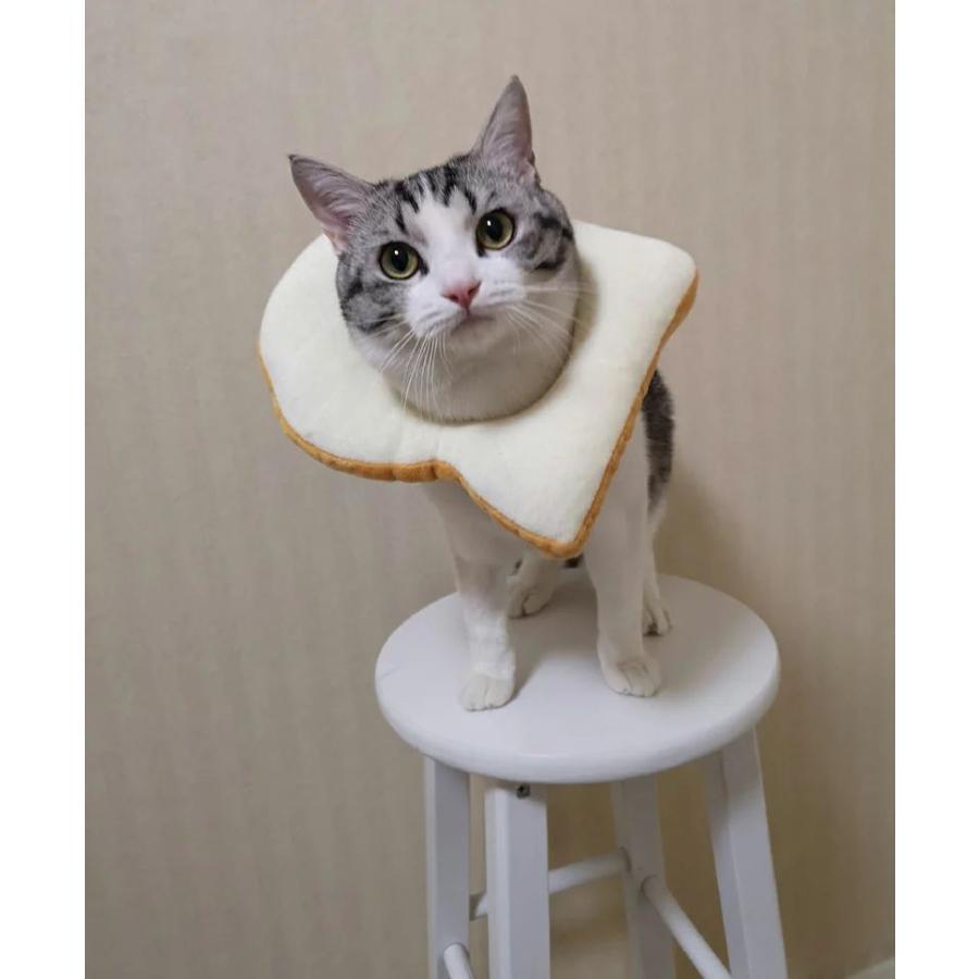 犬猫用帽子 猫 かぶりもの パン トーストブレッド 猫用 犬用 ペット用帽子 猫被り物 ペット用 猫用帽子 可愛さ100倍 ネコ コスプレ キャットウェア着脱簡単 猫