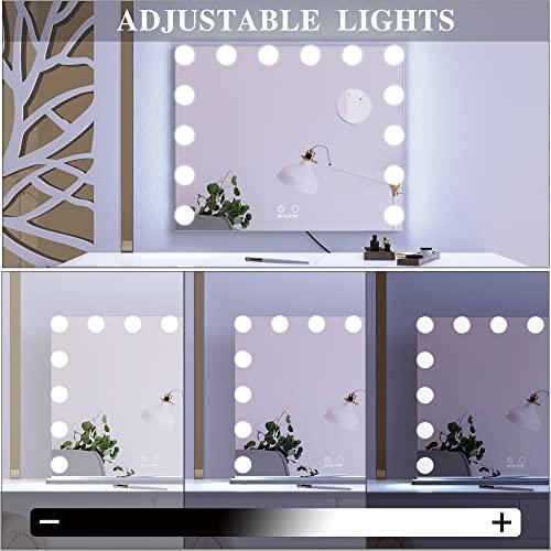 ANYHI 女優ミラー 卓上 人気 化粧鏡 卓上/壁掛け両用 14個のledライト付き 10倍拡大鏡付き 2色照明モード 明るさ調節可能 (62 x 50cm， シルバー) 