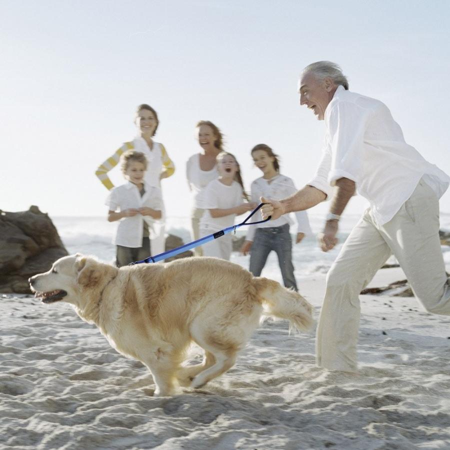 Petbaba ペットババ 犬 リード 犬用短引き ショートリード 中大型犬対応 調節可能 反射素材 丈夫 手に優しい 45 60cm Www Supersport Tn