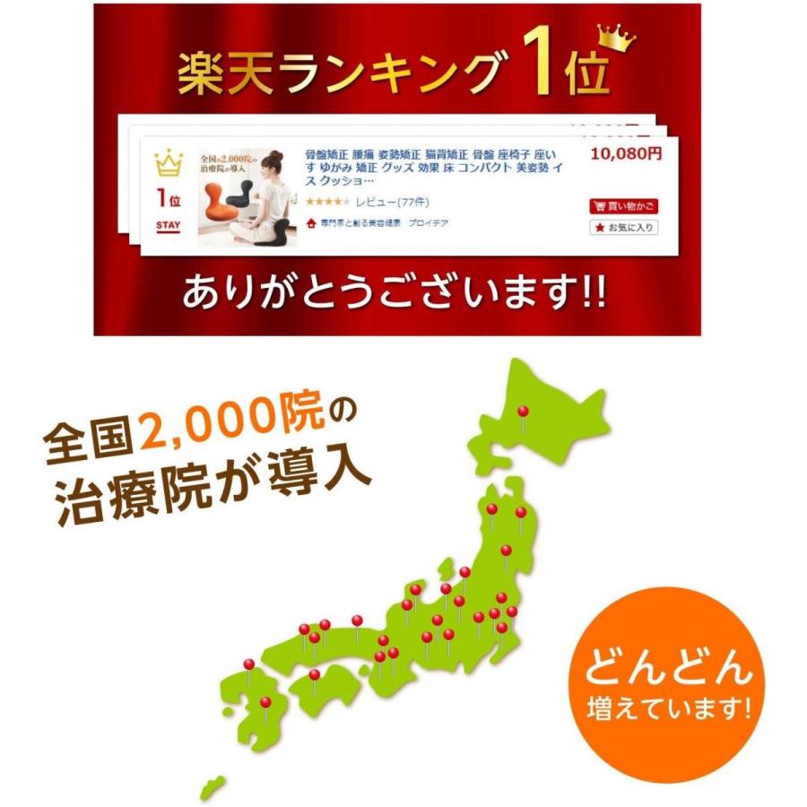 新版 Proidea プロイデア 美姿勢クッション 凛座 ブラック 0070 2391 00 安いそれに目立つ Www Muslimaidusa Org
