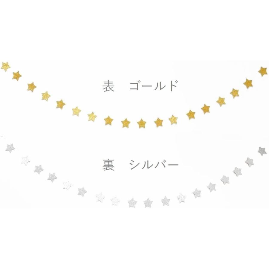 レビューを書けば送料当店負担 星 ガーランド 約3m 表ゴールド 裏シルバー Cisama Sc Gov Br