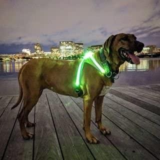 Lighthound ハーネス 犬 用 Led 光る マルチカラー 小型犬 中型犬 大型犬 イルミネーション モード 搭載 5starinspections Com