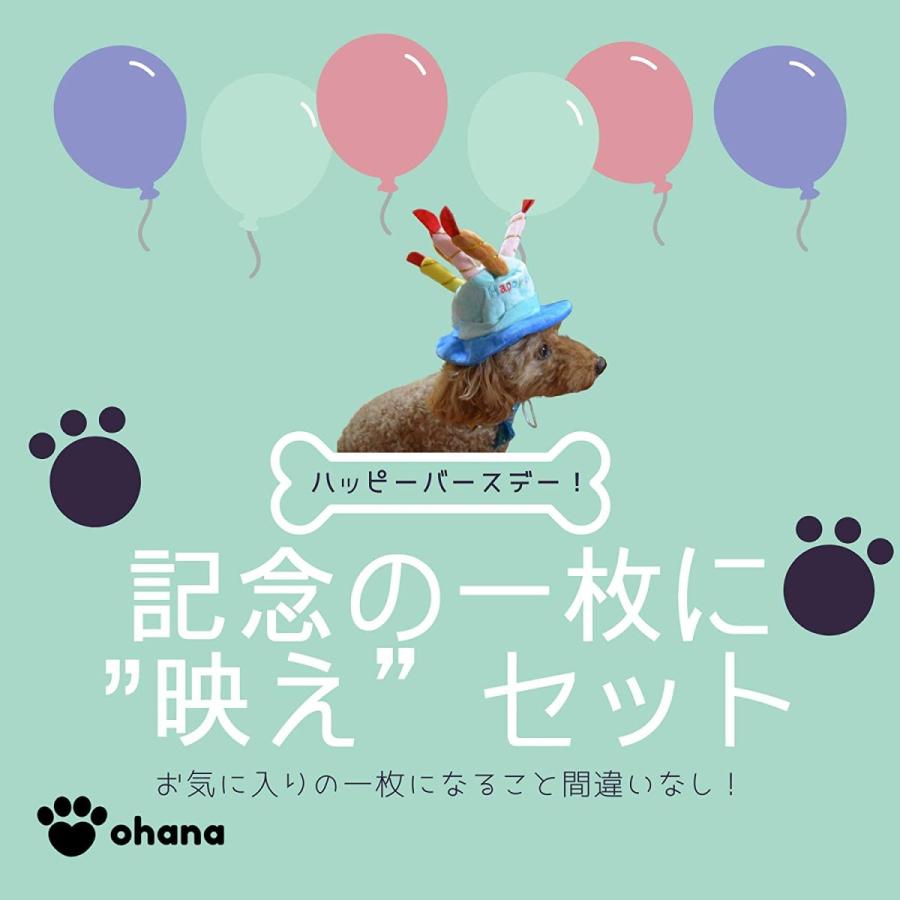犬 猫 ペット用 お誕生日 飾り バルーン ガーランド 風船 お祝い セット バースデー パーティー 小型 中型犬 プレゼント 飾り ブ Maple Tree House 通販 Yahoo ショッピング