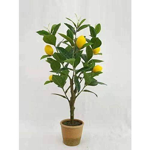 Sunavi人工観葉植物 レモンツリー 光触媒 フェイクグリーン 観葉植物 空気清浄 消臭 脱臭 室内 屋外 造花 多肉植物 造花 植物装飾 Maple Tree House 通販 Yahoo ショッピング