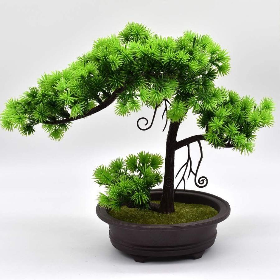 永遠の命 松の木 現代風 フラワーポット 家庭植物 花植物 ハーブ 観葉植物 室内 ホーム 庭 装? デコレーション (016) 室内装飾 LIHITLAB IDカードボード 30口座 259×33×505mm S107 (0-065-02)